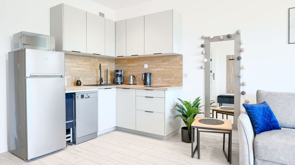 Apartment (5) | Private kitchenette | Fridge, microwave, stovetop, dishwasher