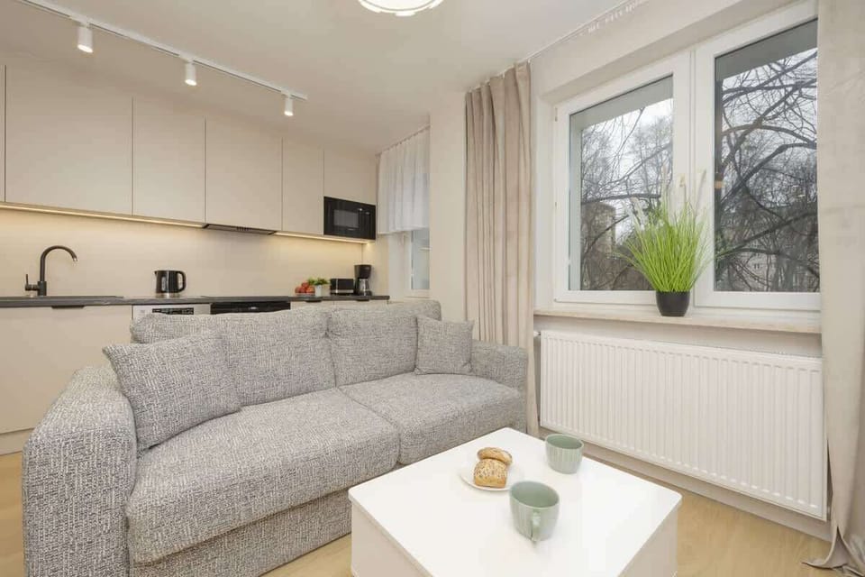 Living room with television