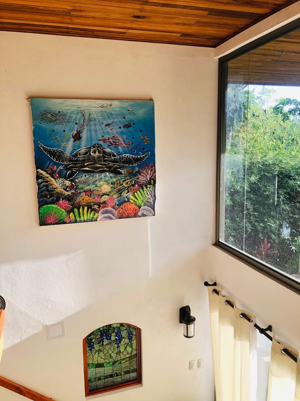 Tortuga painting local art