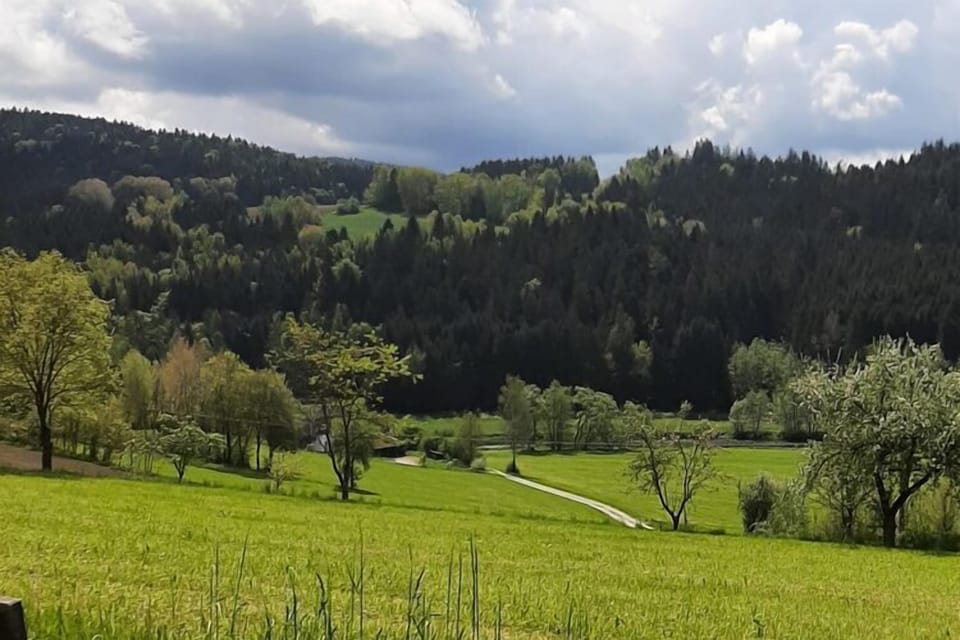 View from Holiday Home [summer]