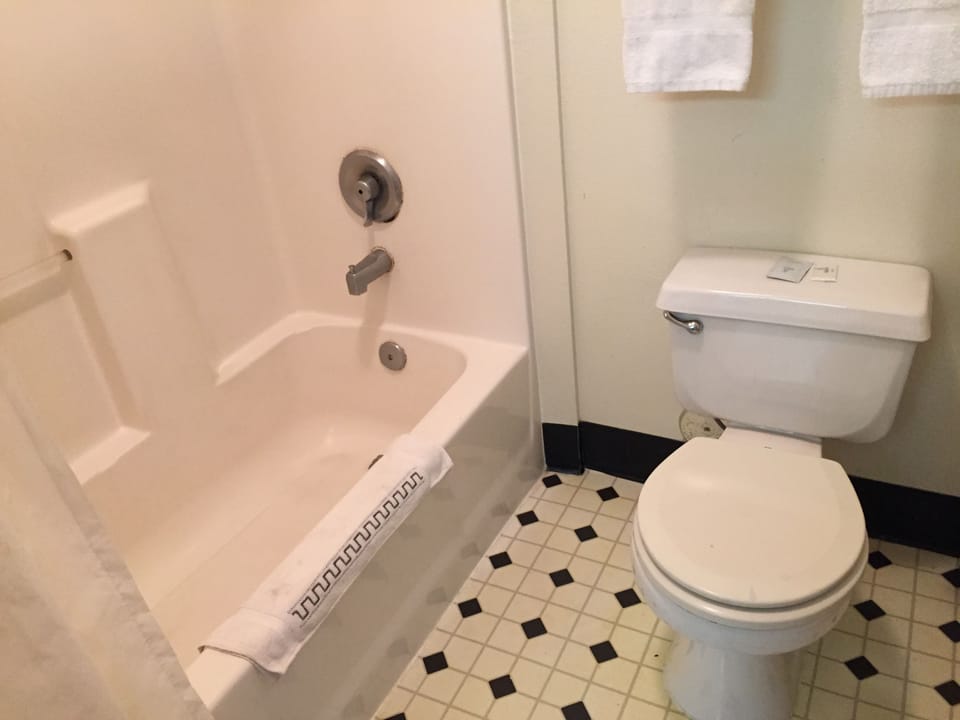 Combined shower/tub, free toiletries, hair dryer, towels