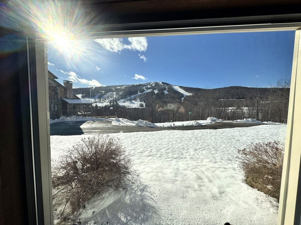 views from the pool area