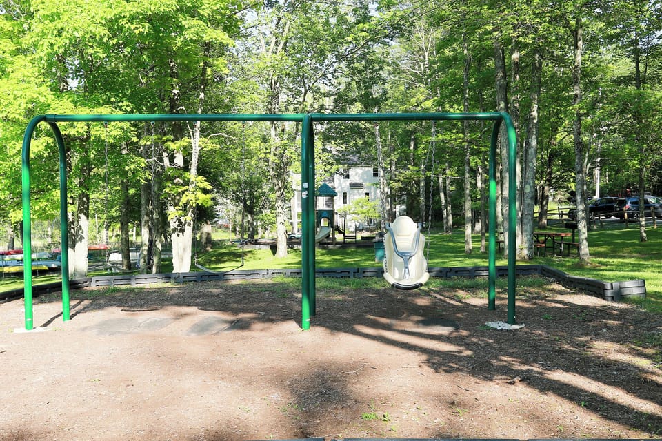 Swings and jungle gyms