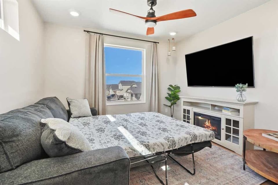 Living Room Pull out Couch