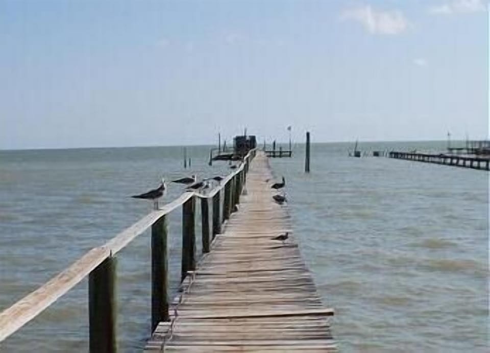Pier