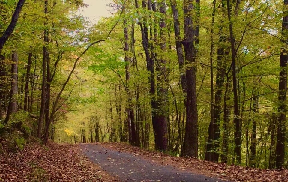 DesotoMultipurposeTrail