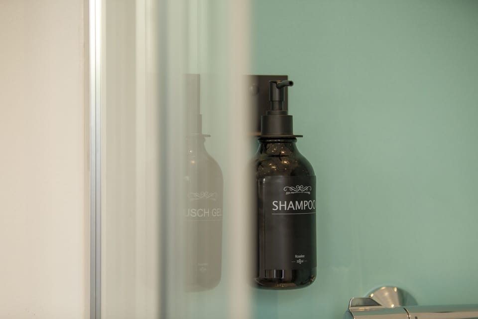 Shower, hair dryer, heated floors, towels