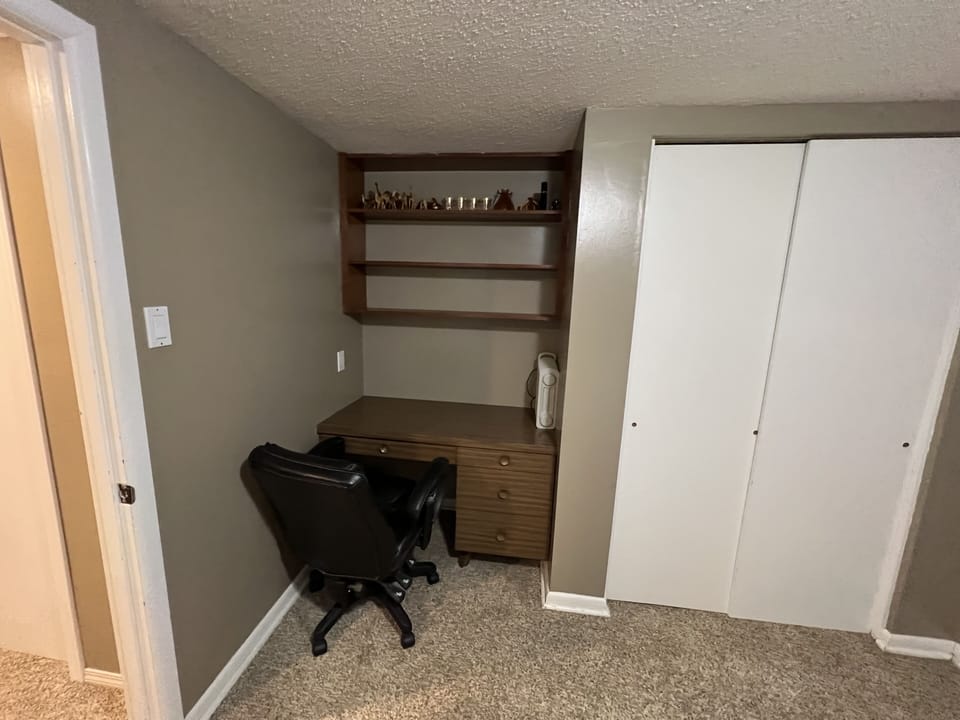 Third Bedroom - Basement (2)