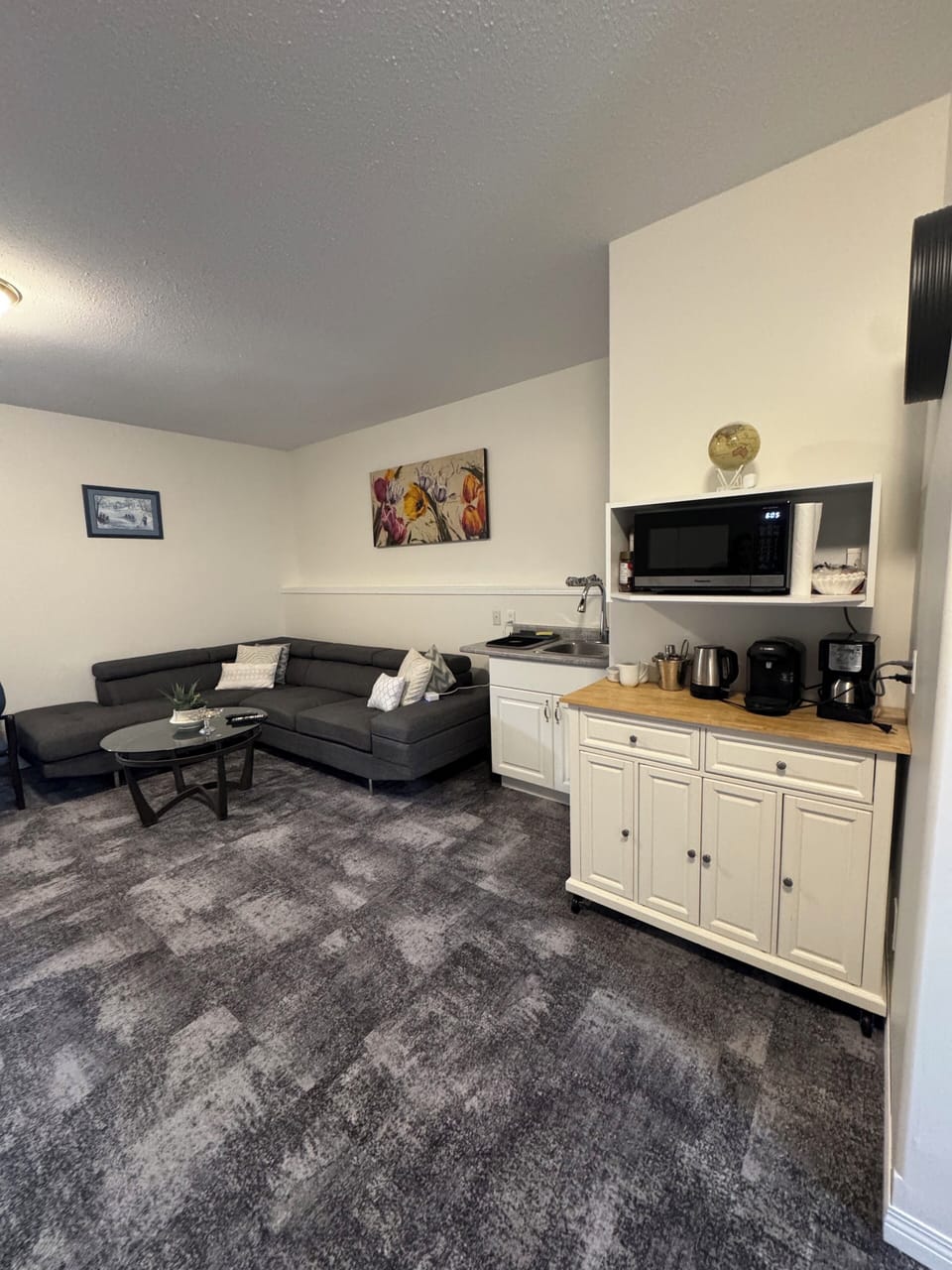 Living room / kitchenette 
