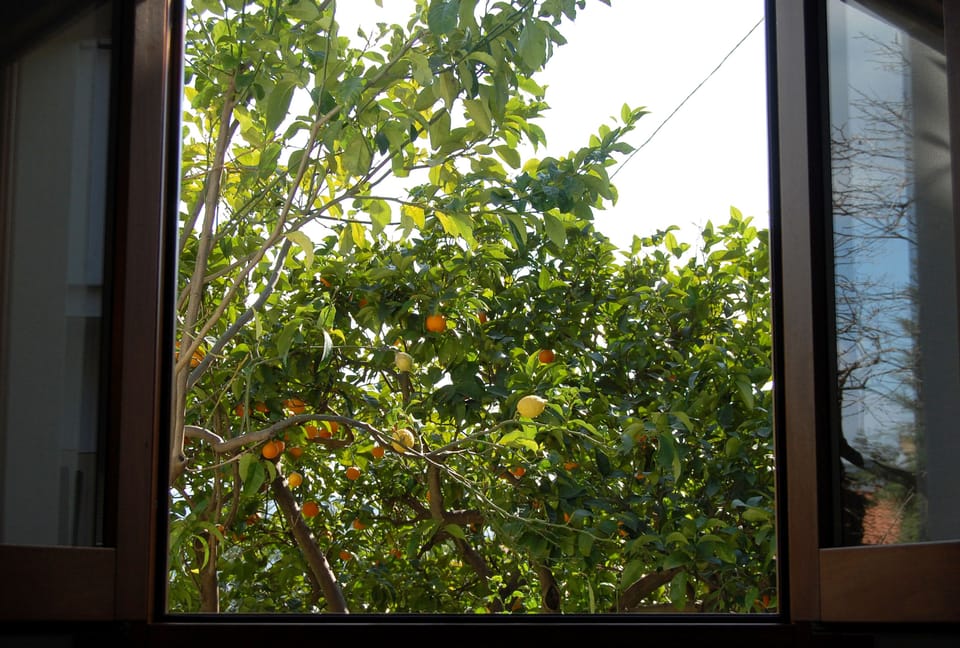 Double Room, Garden View | Exterior