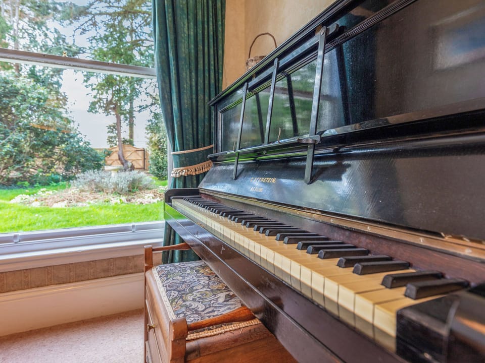 Interior | The Hall, Norton Disney