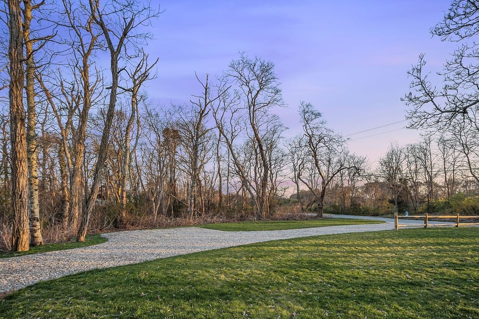 Driveway