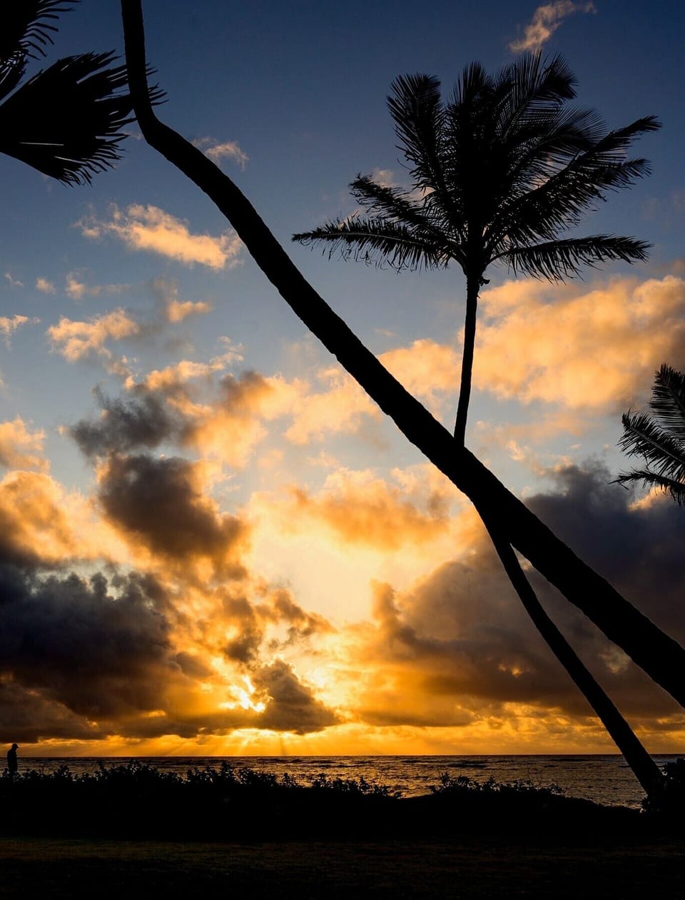 Sunset View