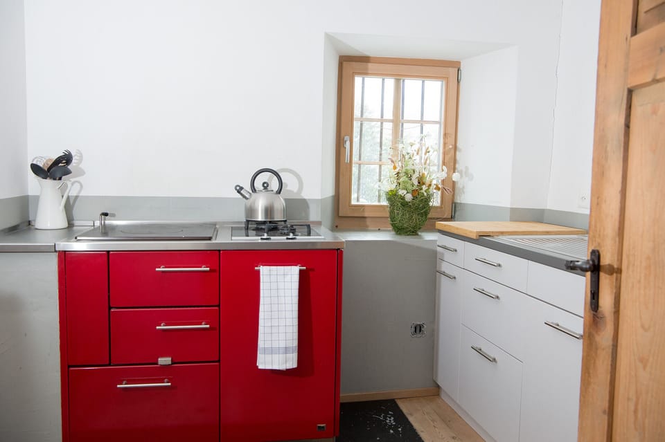 Kitchen with a wood stove and gas stove