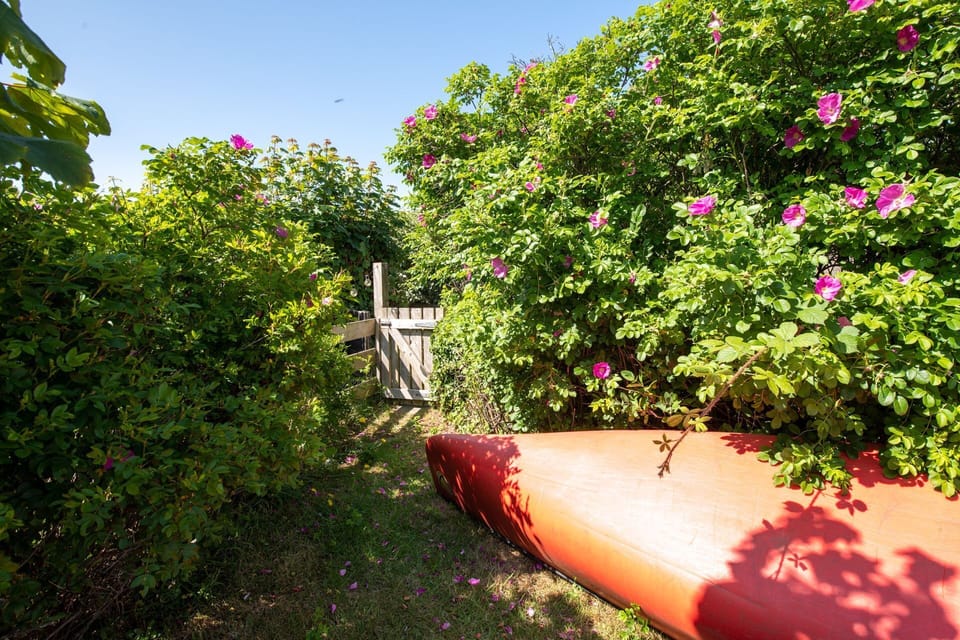 Ty Heulwen Garden Rhosneigr