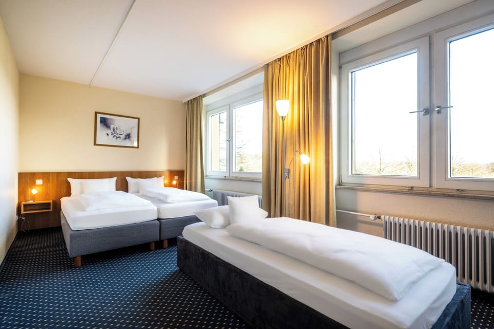 Basic Triple Room