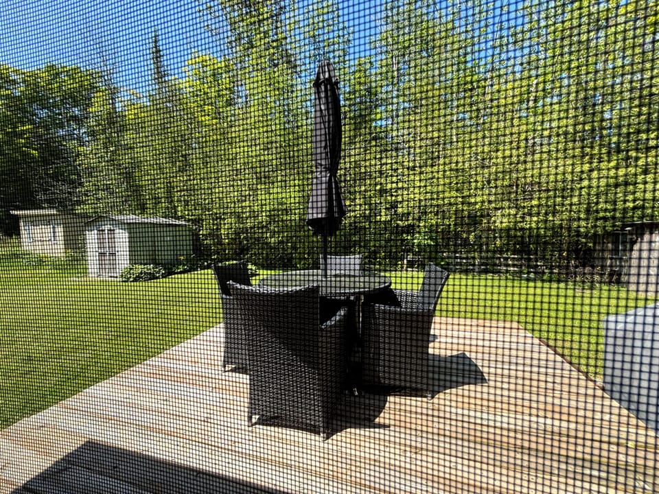 An outdoor patio with wicker furniture and an umbrella. The patio overlooks a lush green yard with two small sheds, surrounded by tall trees, creating a serene and private outdoor space.