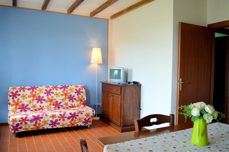 24-inch TV with satellite channels, table tennis