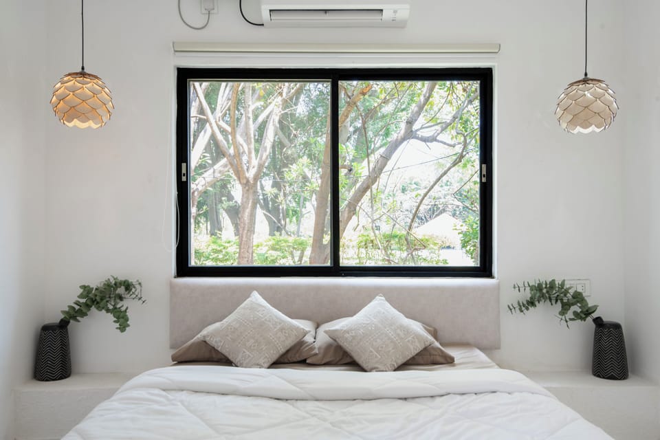 Cactus Superior Room | Free WiFi
