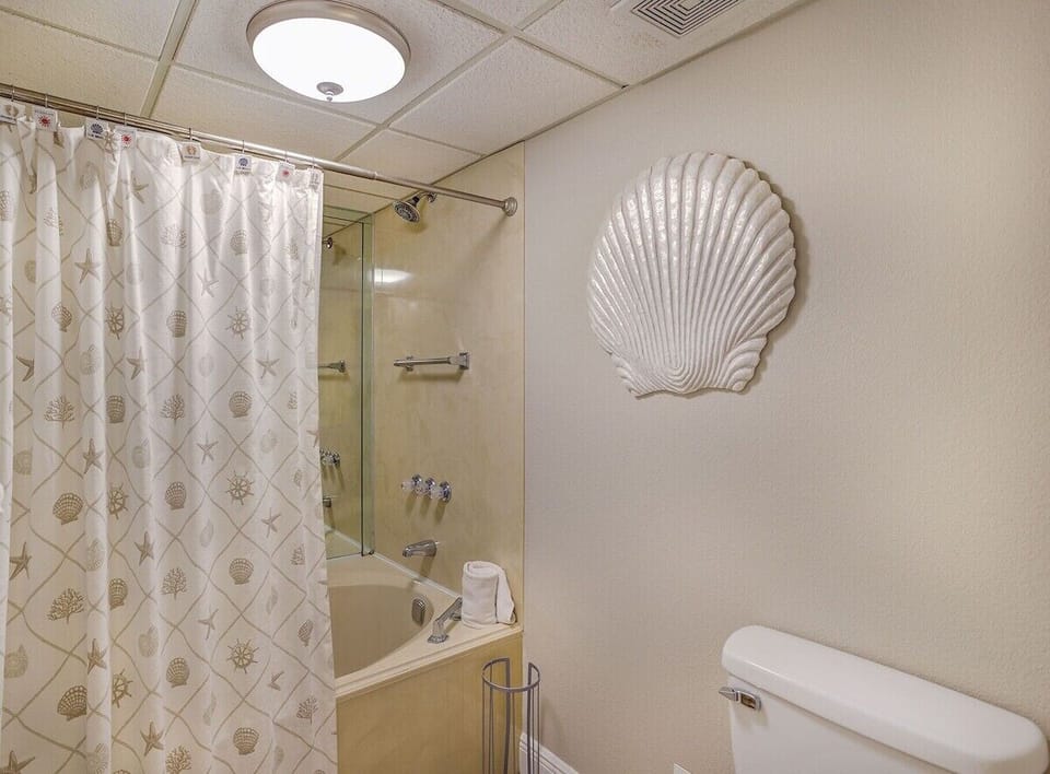 Master bathroom with garden tub/shower combo