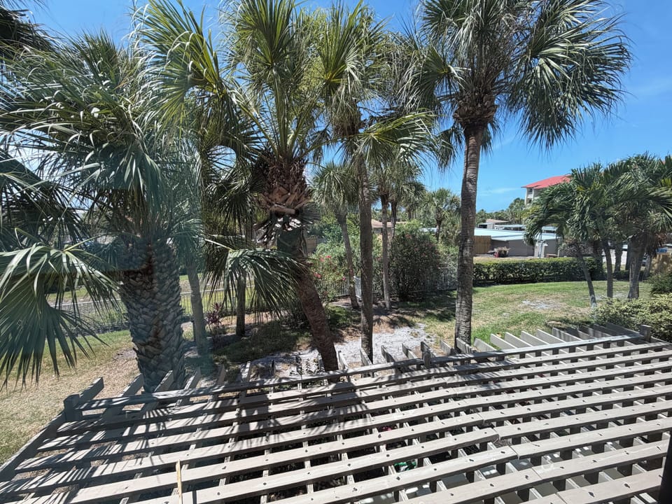 A sun-drenched deck overlooks lush palm trees and tropical landscaping, offering a peaceful outdoor retreat in a quiet residential setting.