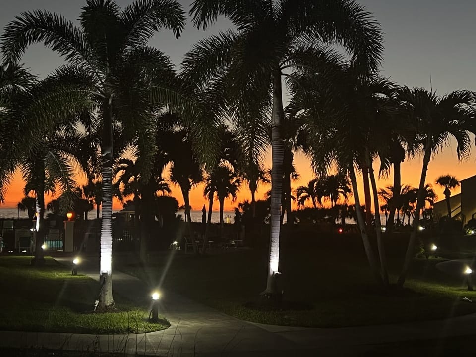 2-109 View at Night