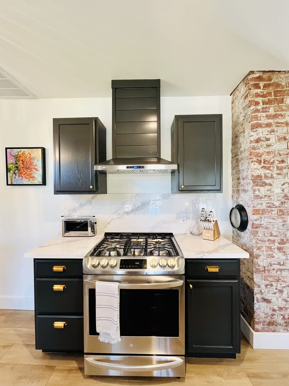 High end stainless steel appliance and gas stove / oven
