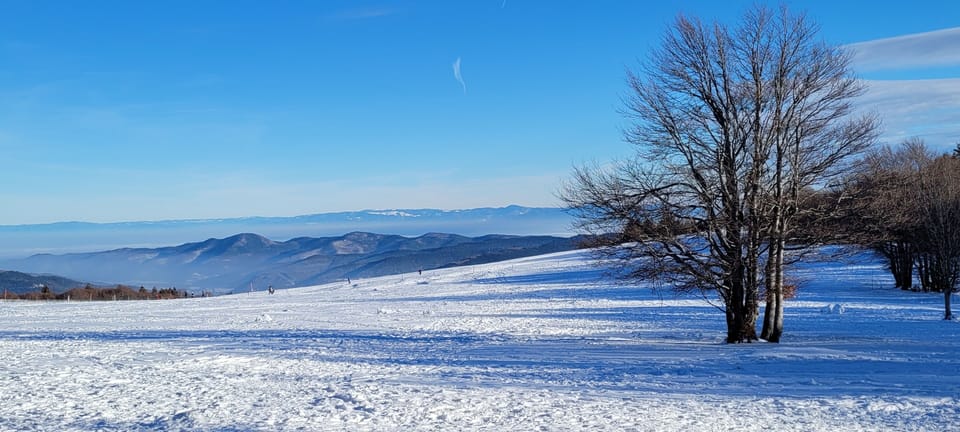 Snow and ski sports