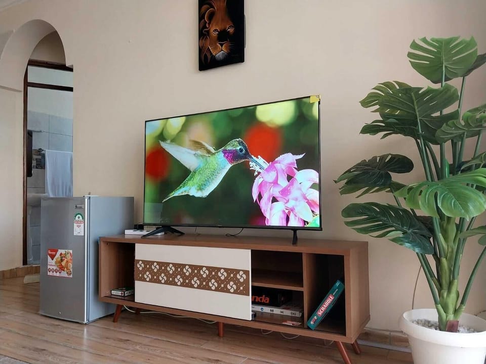 Business Apartment | Living area | 24-inch Smart TV with digital channels