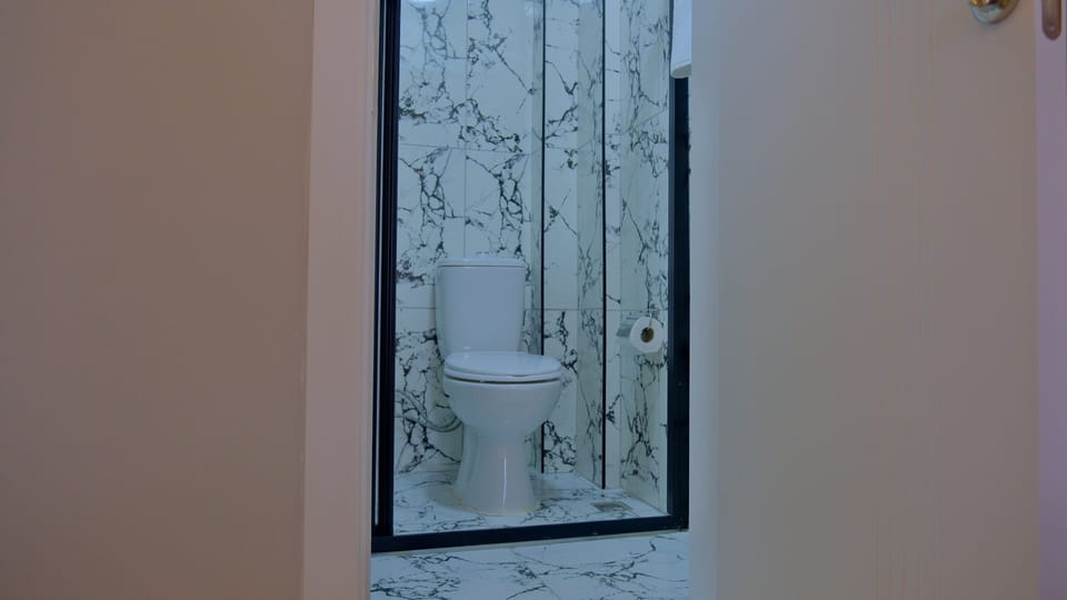 Standard Twin Room | Bathroom | Shower, rainfall showerhead, hair dryer, bathrobes