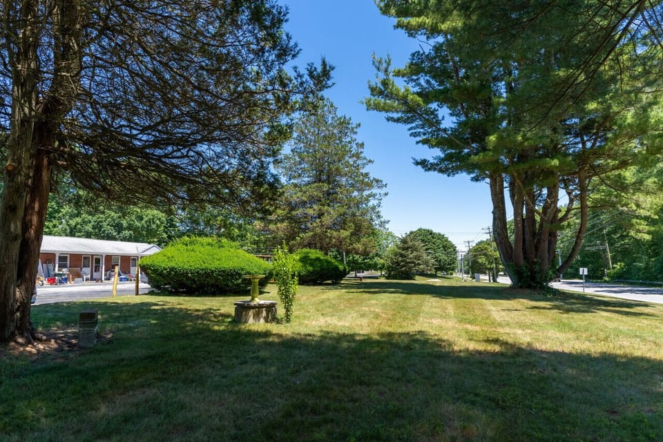 Front Yard