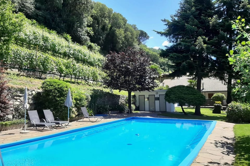 Holiday Home Swimming Pool