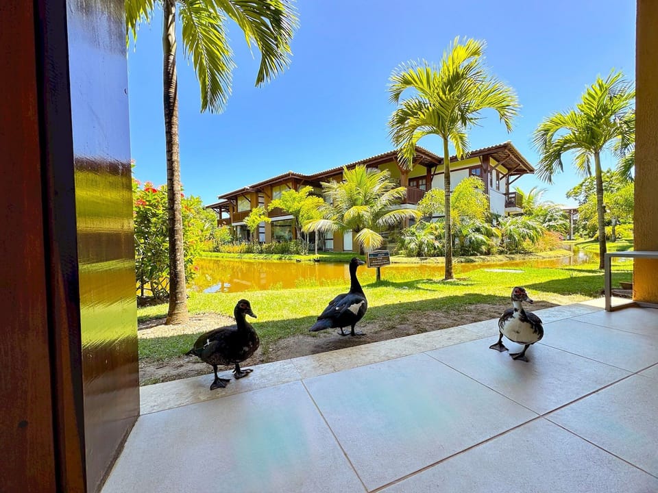Apartment | Property grounds