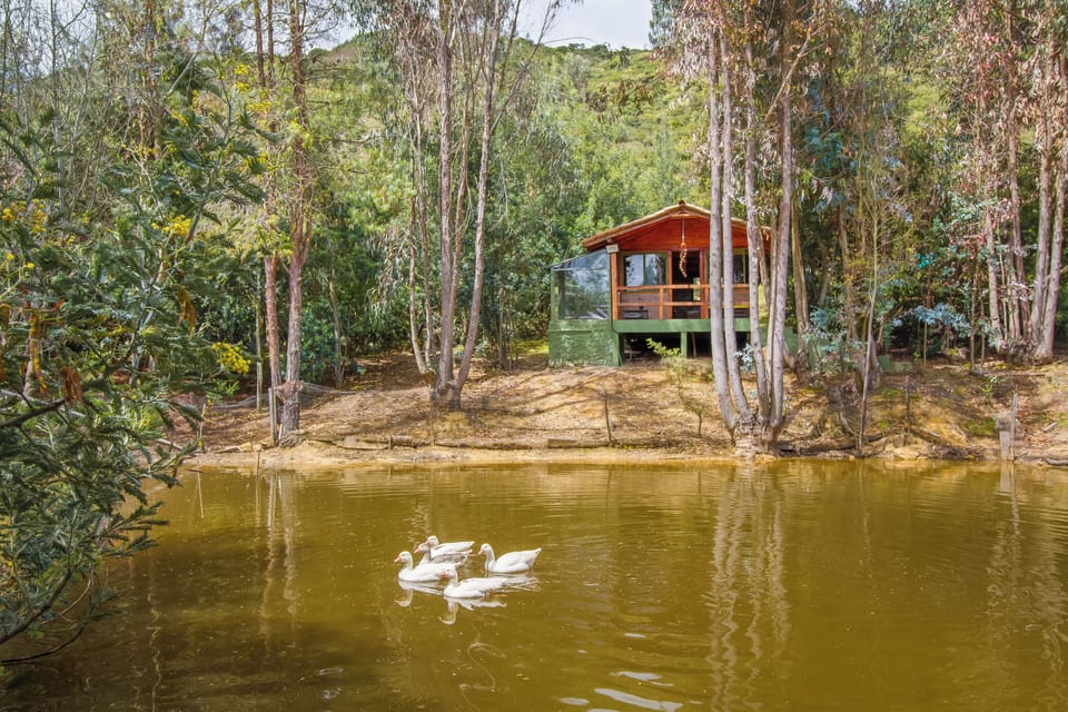 Comfort Cabin, 1 Queen Bed, Balcony, Lake View | Down comforters, individually decorated, individually furnished
