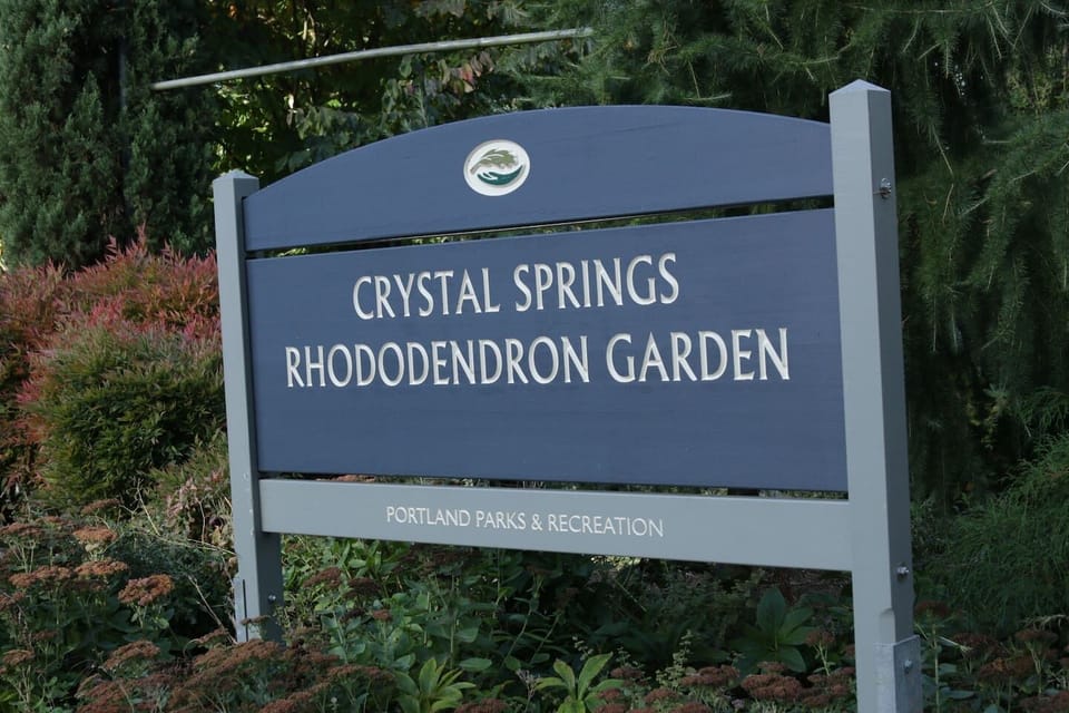 Local Attraction: Explore the stunning blooms at Crystal Springs Rhododendron Garden!