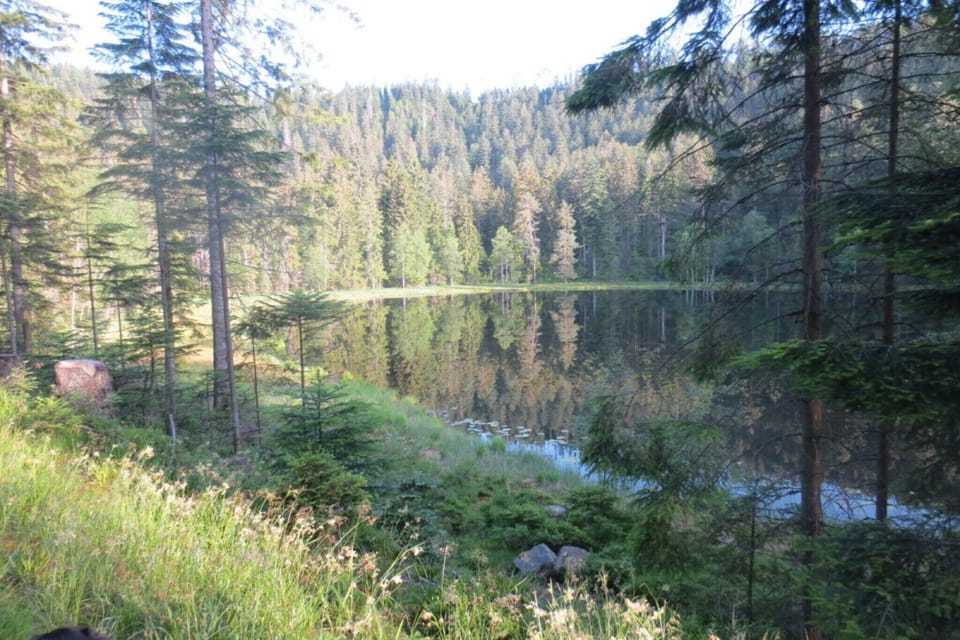 Immediate Surroundings [summer] (<1 km)