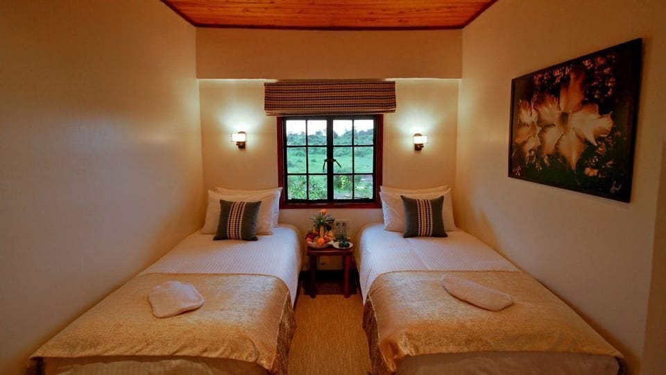 Classic Cabin Twin | Free wired internet