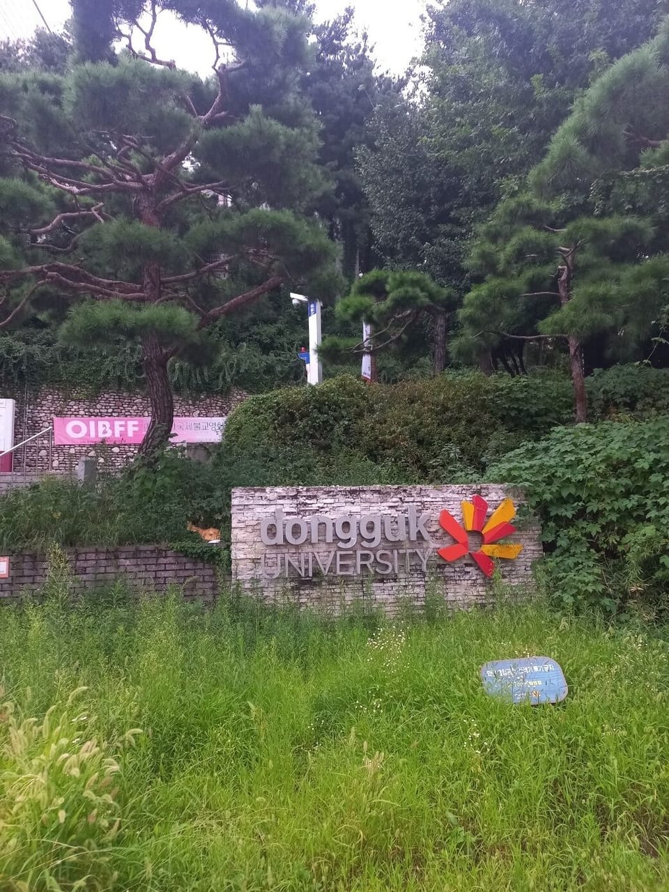 Property grounds