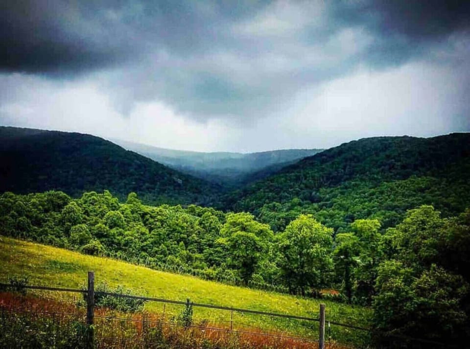 Views of Grayson Highlands State Park directly from your private cabin