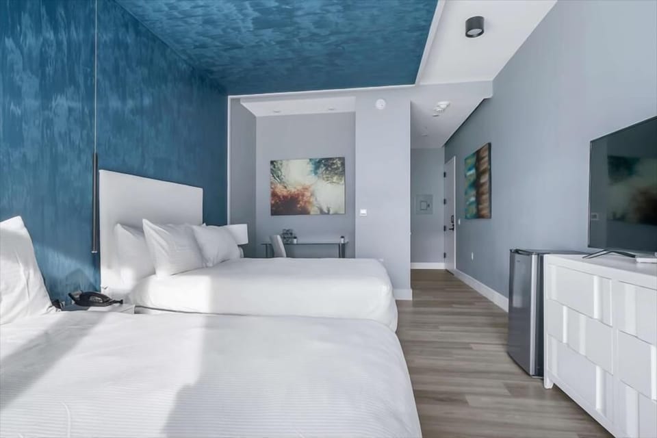 213 Studio 2 Queen - Mott Haven - NYC