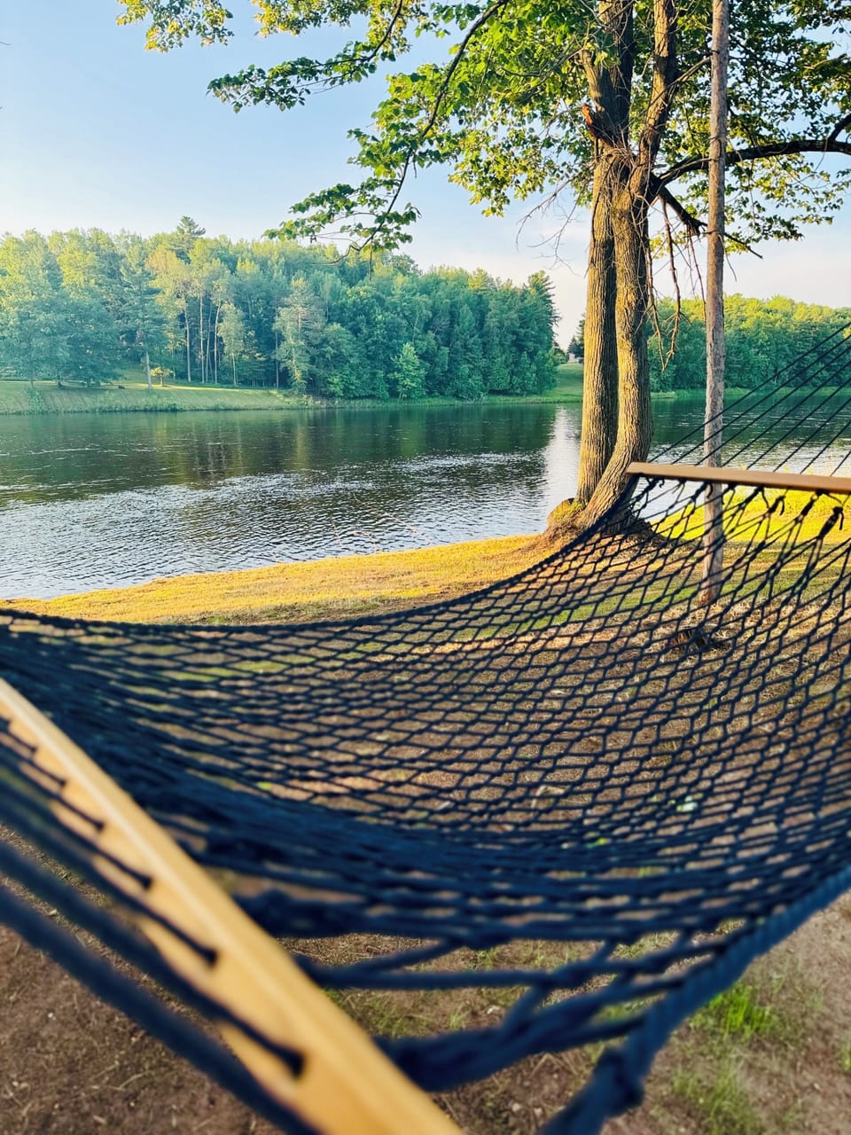 Hammock