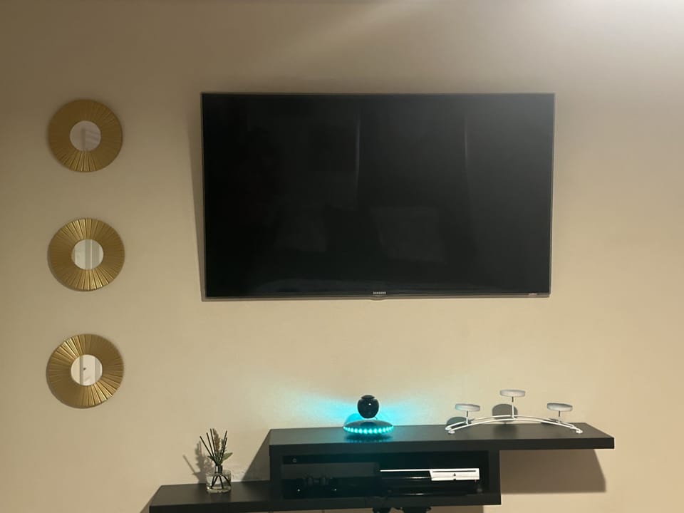 Television
