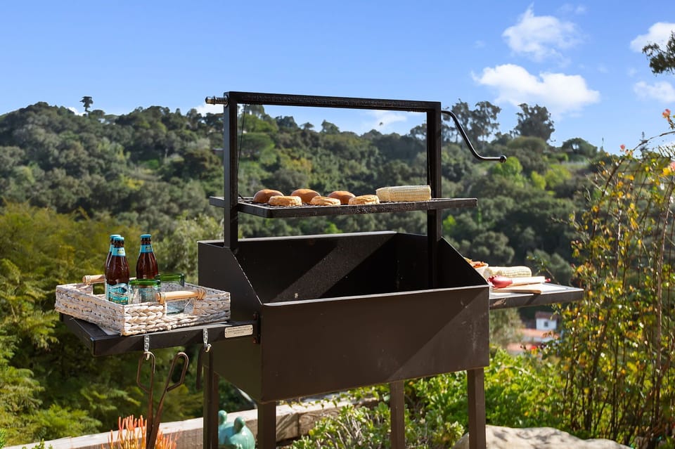 Charcoal "Santa Maria" style BBQ