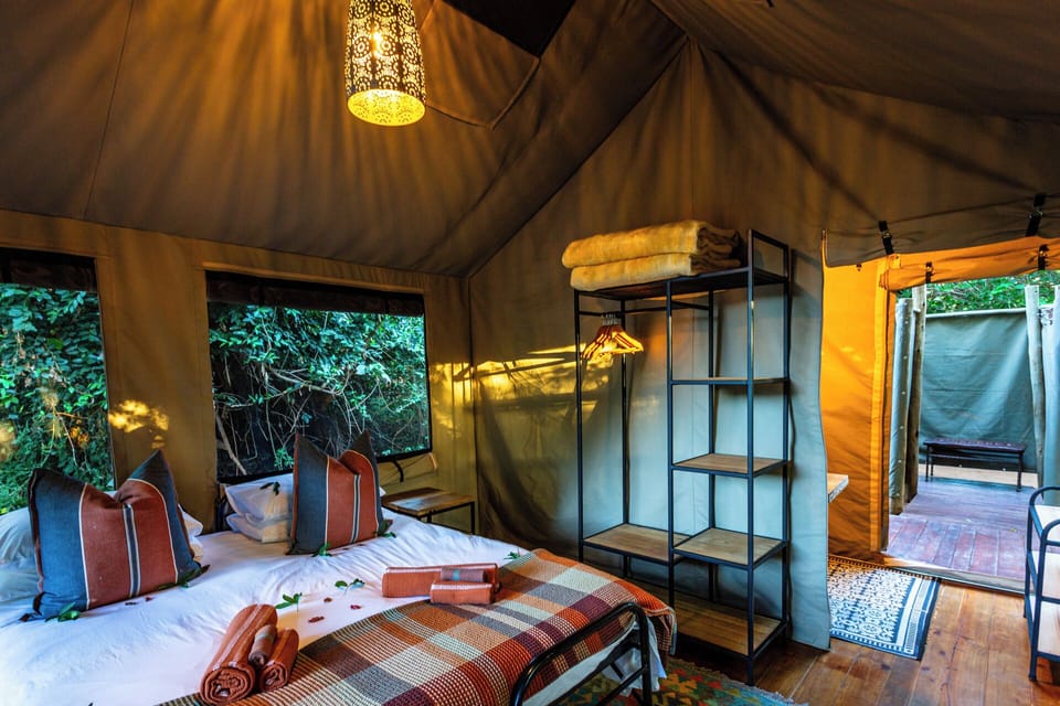 Basic Tent | 1 bedroom, bed sheets