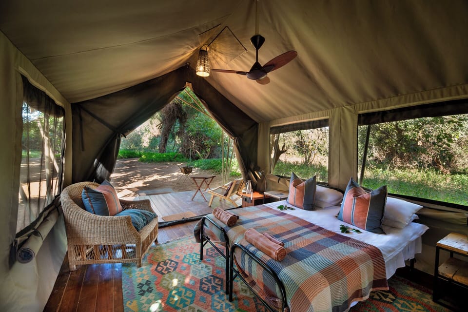 Basic Tent | 1 bedroom, bed sheets