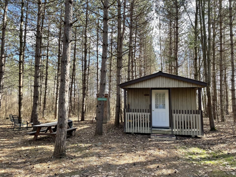 Private one bedroom cabin nestled in the woods.