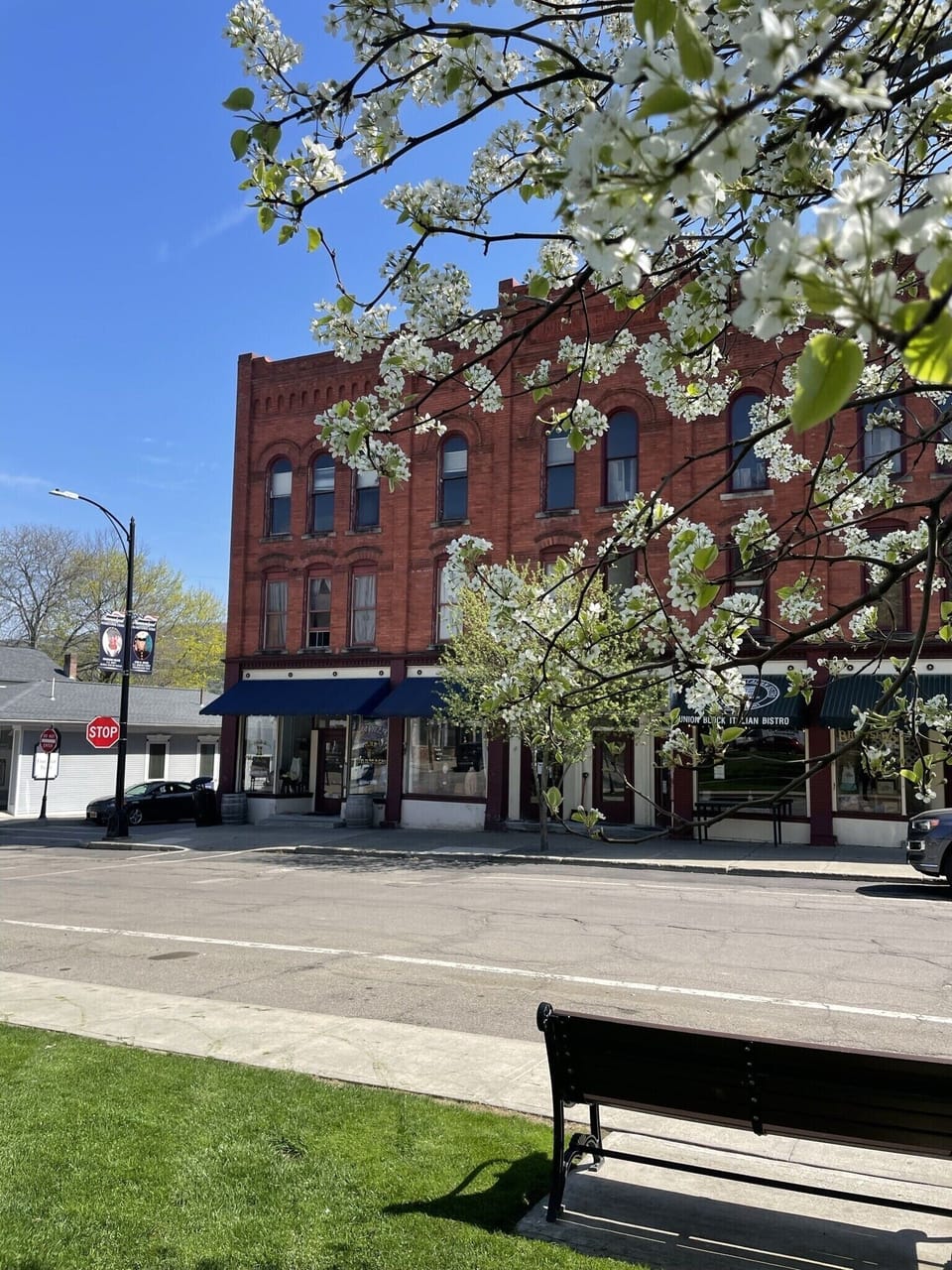 Hammondsport in the Spring.