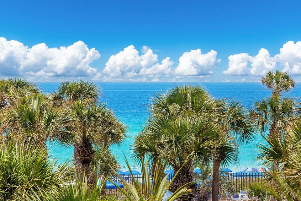 Sterling306 Beach View