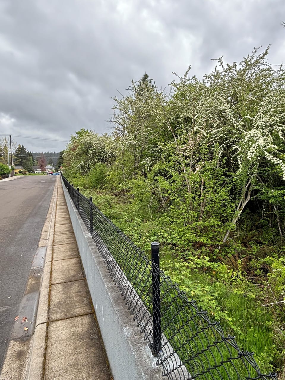 Neighborhood walk...