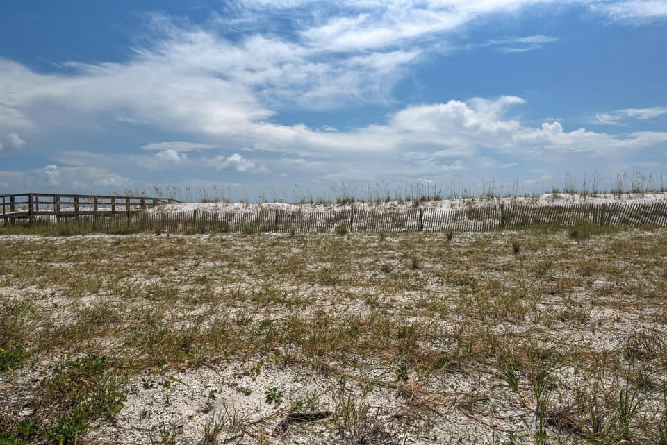 Condo, Multiple Beds (White Sands 451- Beach Dreams) | Miscellaneous